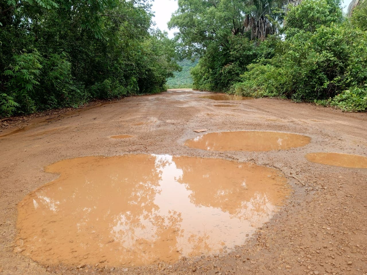 Fallas en vialidad, combustible y transporte aíslan a comunidades en Caicara del Orinoco
