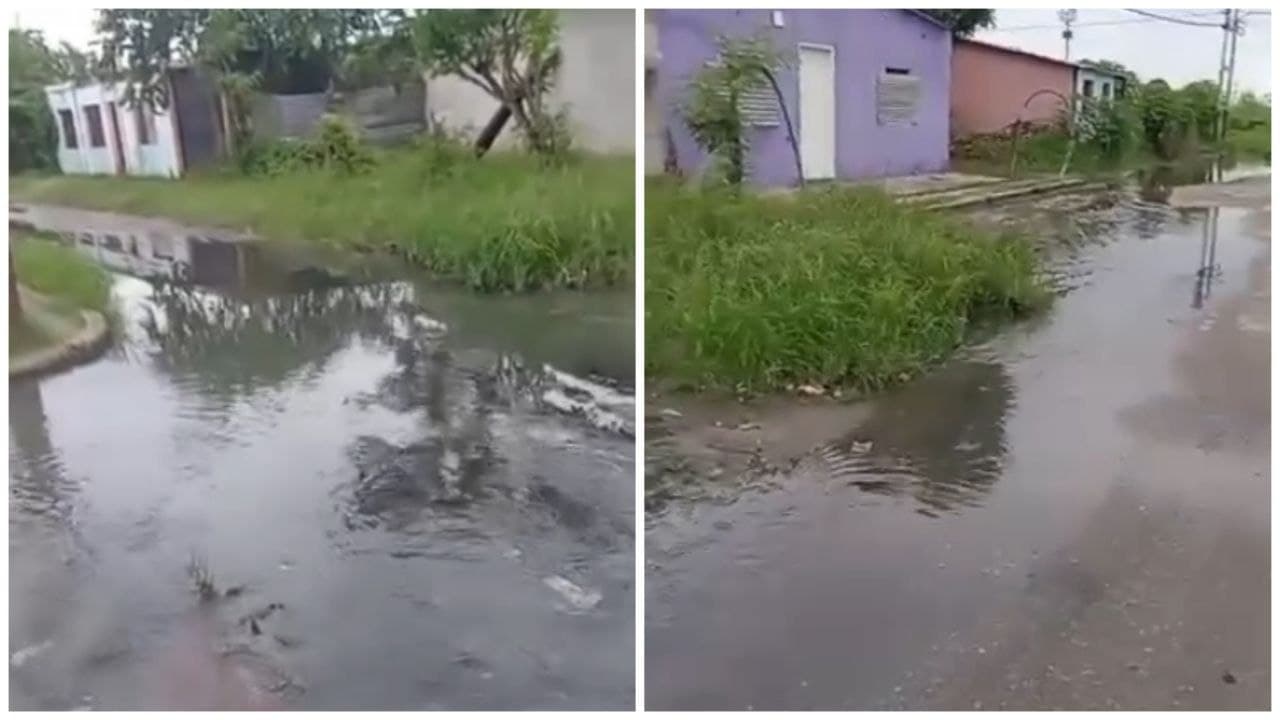 Colapsaron las cloacas de los sectores Alfa y Omega y Mi Futuro de Barinas